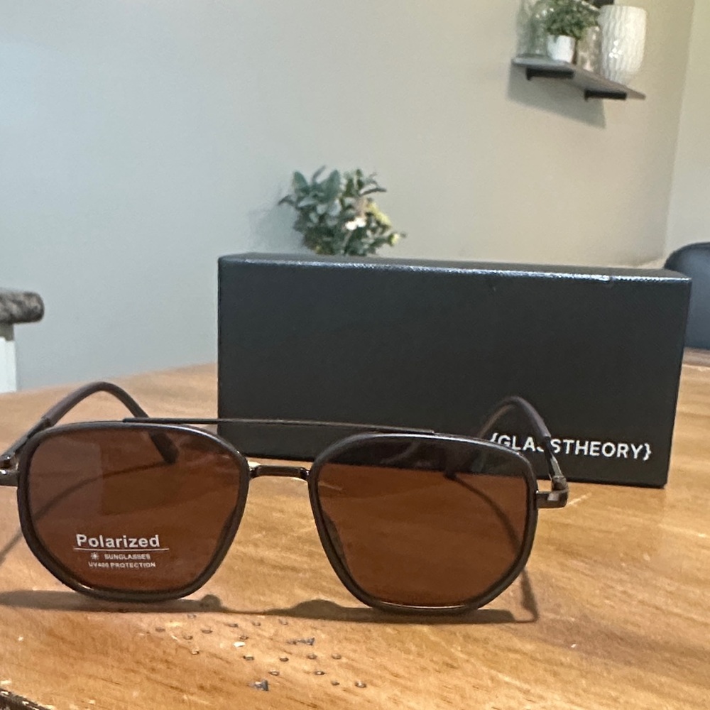Theory Brown Polarized Sunglasses